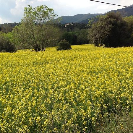 Casa Rural Can Panxa Sant Pere de Vilamajor ภายนอก รูปภาพ