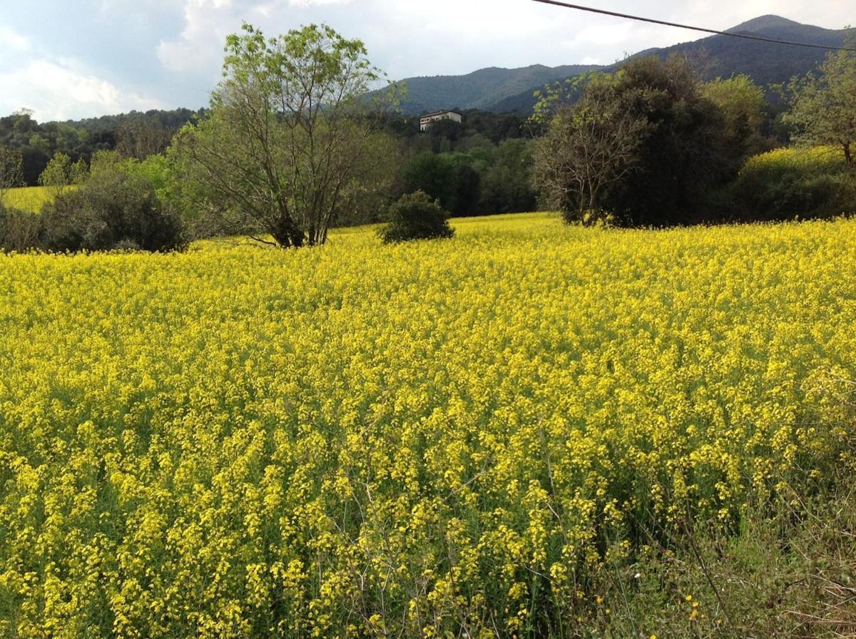 Casa Rural Can Panxa Sant Pere de Vilamajor ภายนอก รูปภาพ
