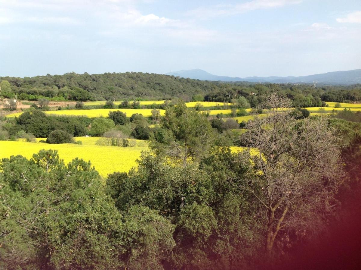 Casa Rural Can Panxa Sant Pere de Vilamajor ภายนอก รูปภาพ
